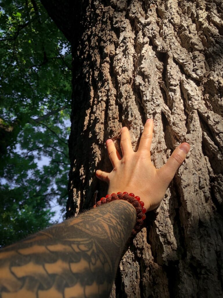 Using Grounding Exercises to Cope with Trauma