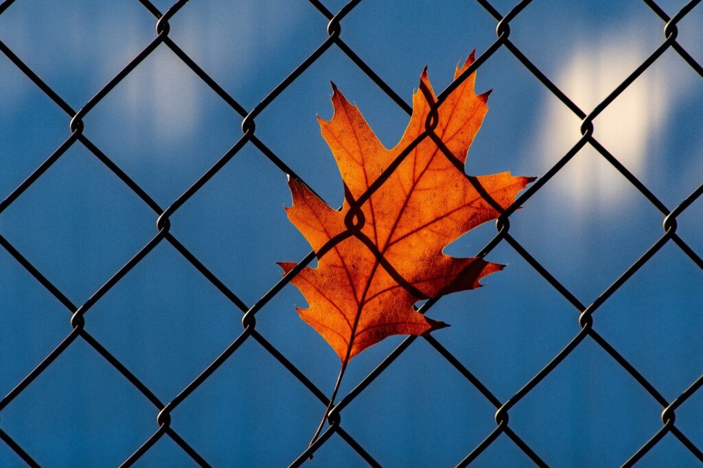 Overcoming Barriers to Recovery