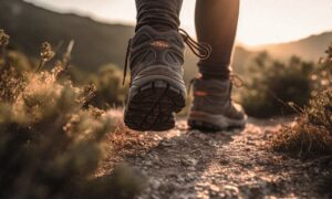 12-Step Rehab Program